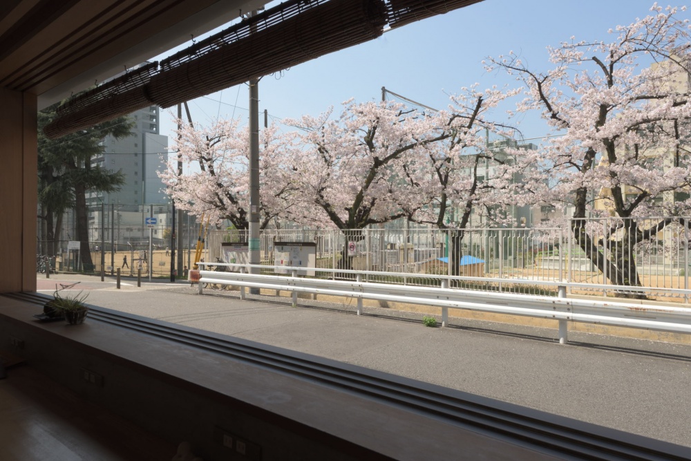 Mitsuwaya 桜