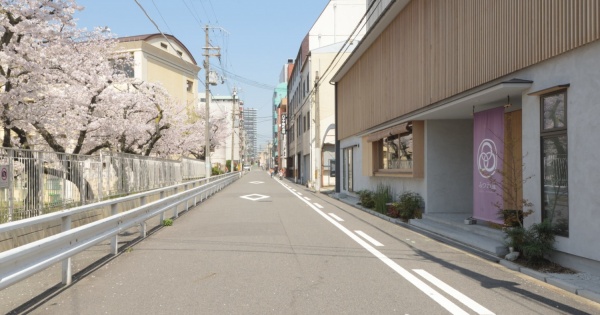 みつわ屋と桜