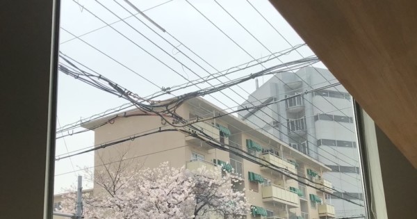 シェアハウスZEZE OSAKAから見える桜