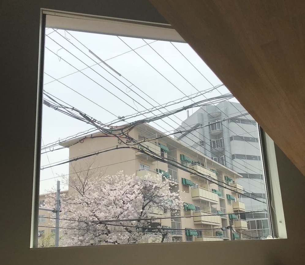 シェアハウスZEZE OSAKAから見える桜